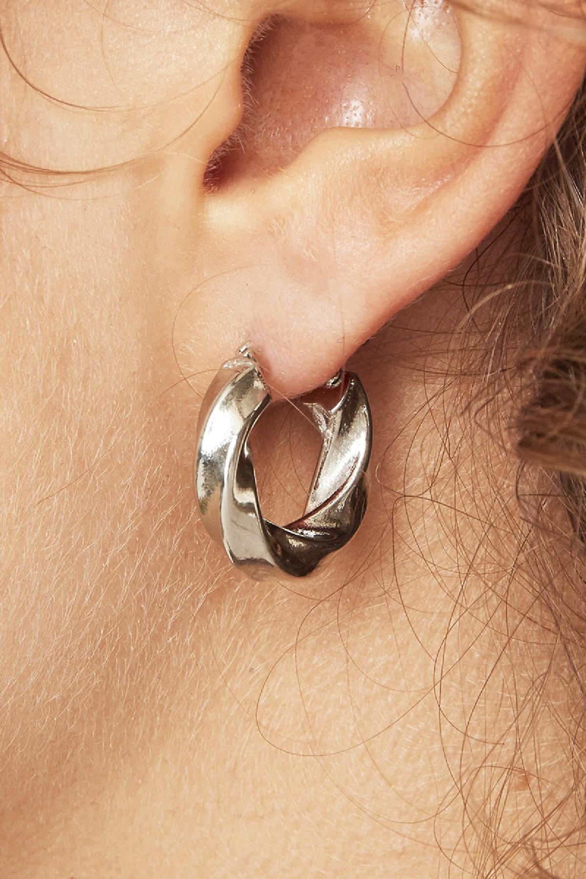 Earrings Hoops Swirl Silver Stainless Steel Picture3